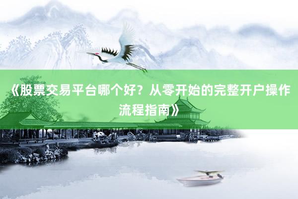 《股票交易平台哪个好？从零开始的完整开户操作流程指南》