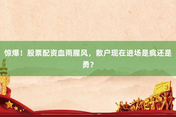 惊爆！股票配资血雨腥风，散户现在进场是疯还是勇？