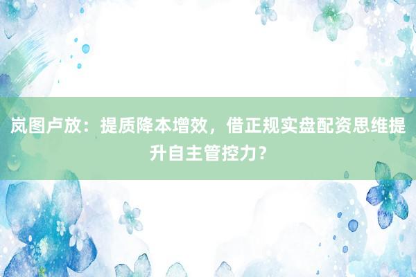 岚图卢放：提质降本增效，借正规实盘配资思维提升自主管控力？