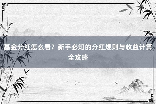 基金分红怎么看？新手必知的分红规则与收益计算全攻略