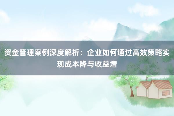 资金管理案例深度解析：企业如何通过高效策略实现成本降与收益增