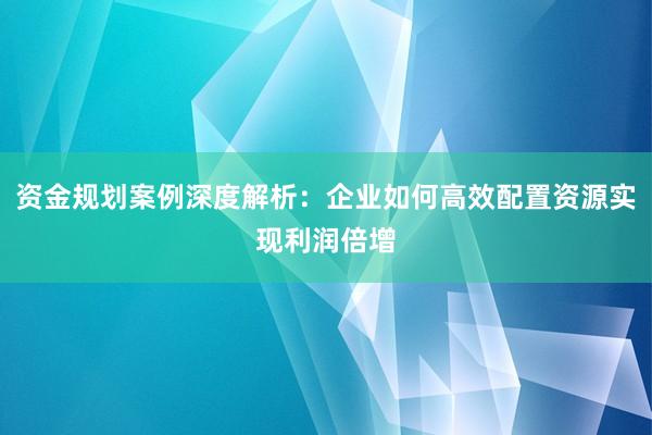 资金规划案例深度解析：企业如何高效配置资源实现利润倍增