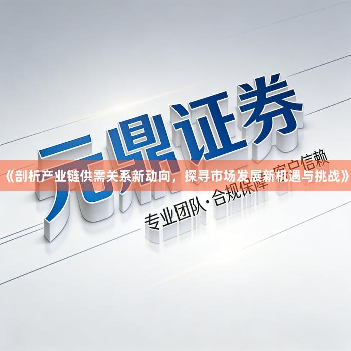 《剖析产业链供需关系新动向，探寻市场发展新机遇与挑战》
