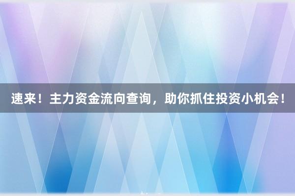 速来！主力资金流向查询，助你抓住投资小机会！