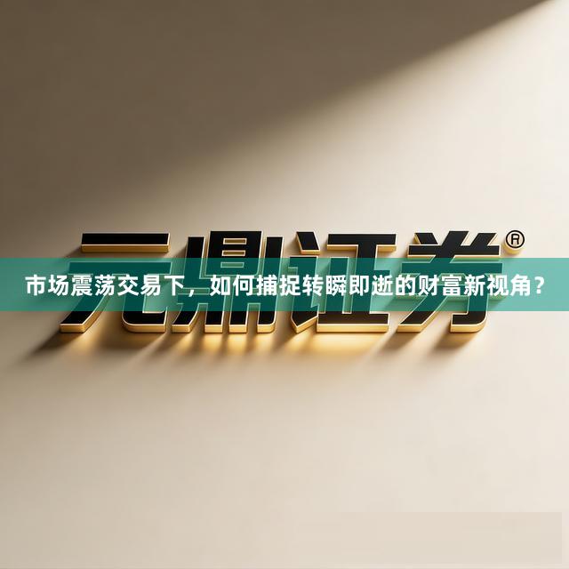 市场震荡交易下，如何捕捉转瞬即逝的财富新视角？